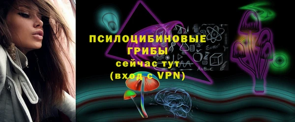 MESCALINE Снежинск