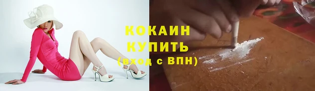 прущая мука Снежногорск