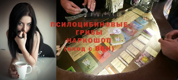 гашик Абаза
